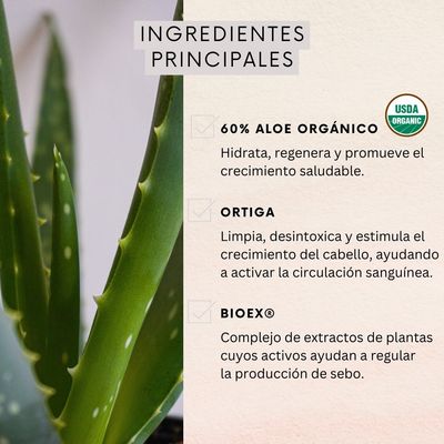 Imagen 2 del producto Pack 3 Shampoo Control Caida Graso 350 ml