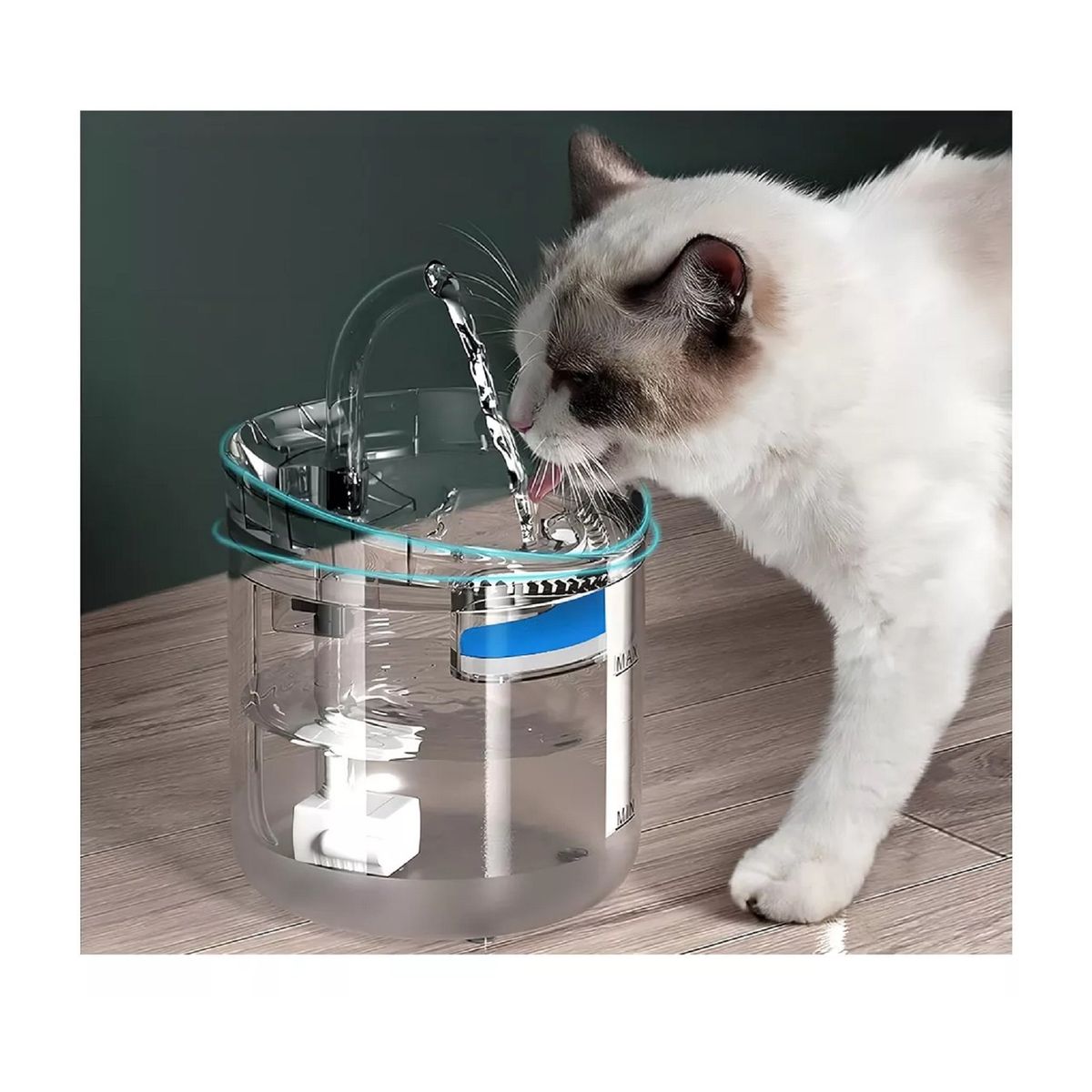 GENERICO - Fuente para gato bebedero para mascotas color trasparente