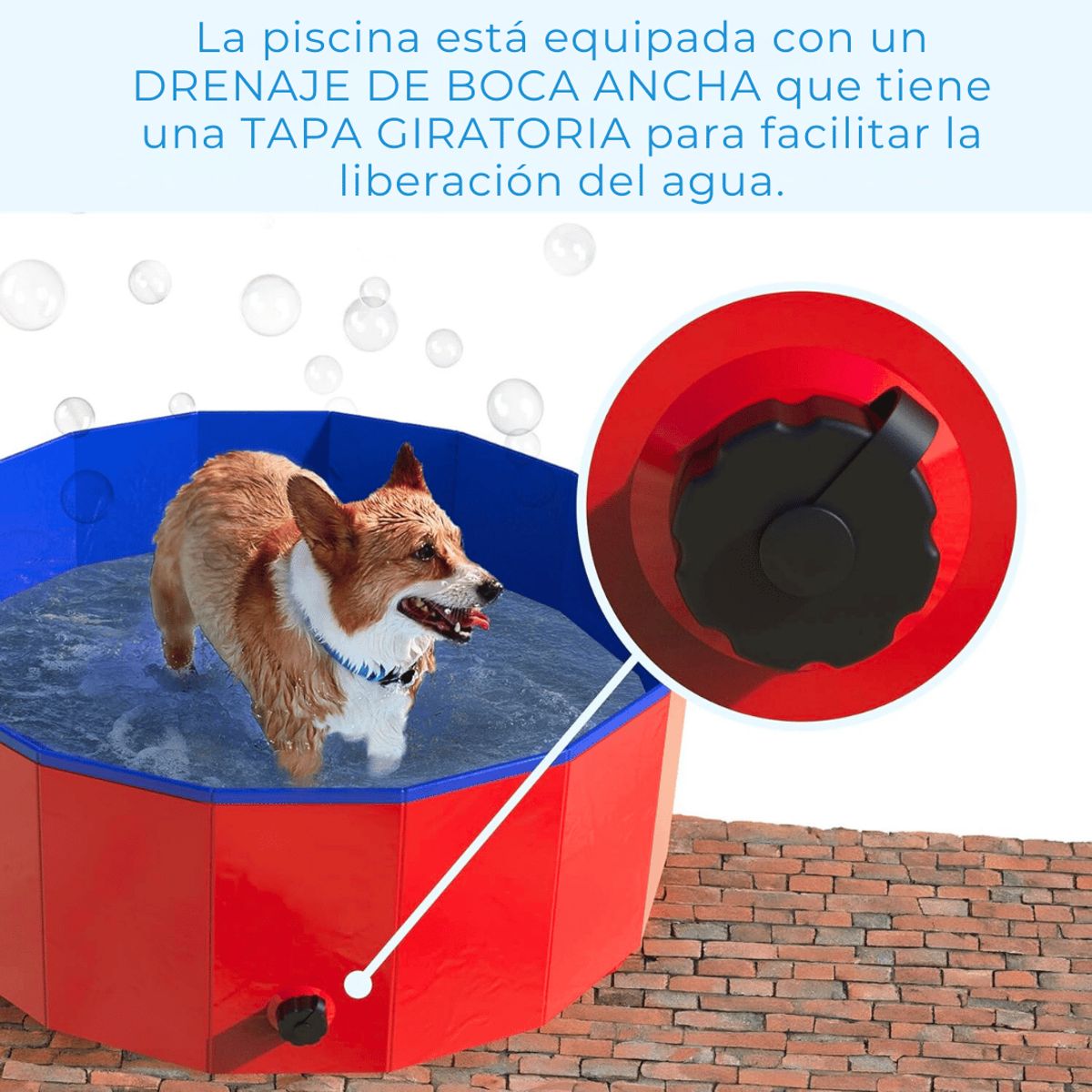 LINE - Piscina Bañera Portátil Plegable Perros Y Mascotas 80x20cm
