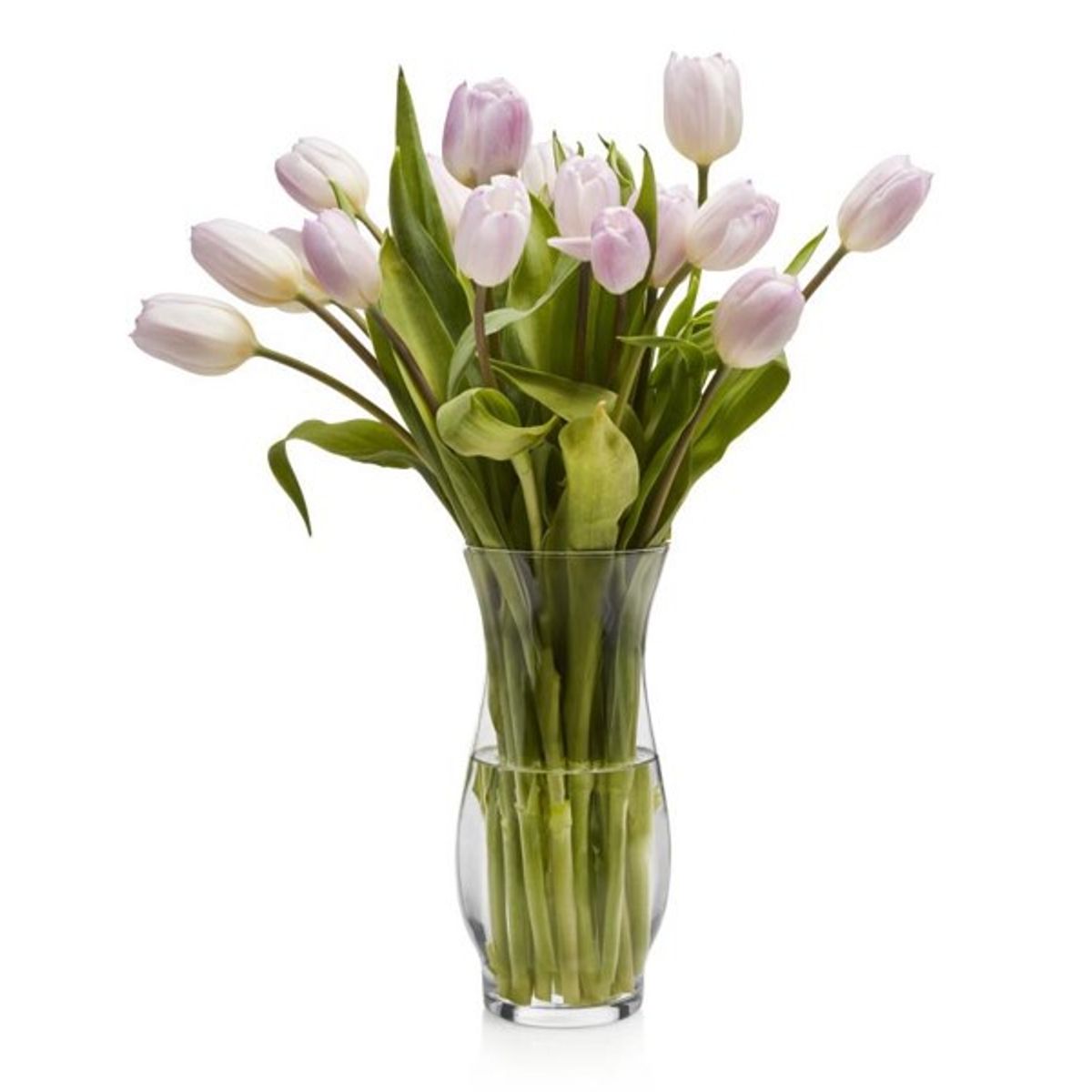 LIBBEY - FLORERO HANA VASE 215 CM