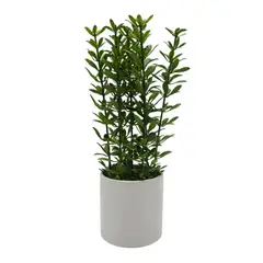 GENERICO - Planta Artificial Macetero De Ceramica Blanco Hojas Verdes.