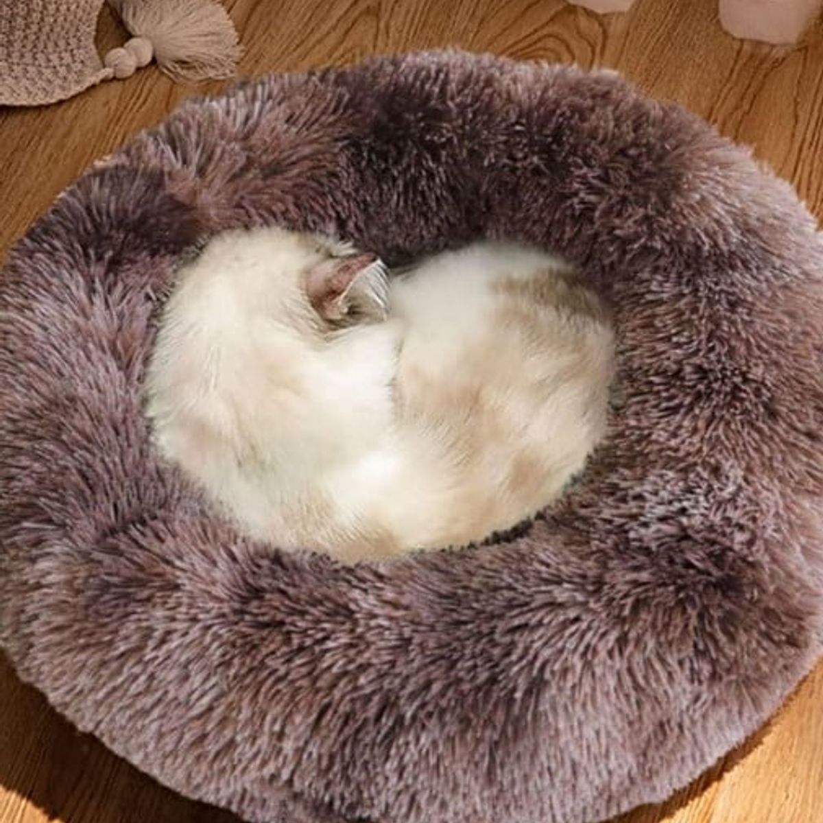 GENERICO - Cama cojin de chiporro redondo para mascotas  60cm CAFÉ