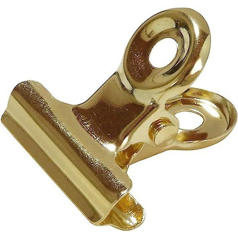 GENERICO - Clips Dorados de Metal para Organizar Documentos y Fotos