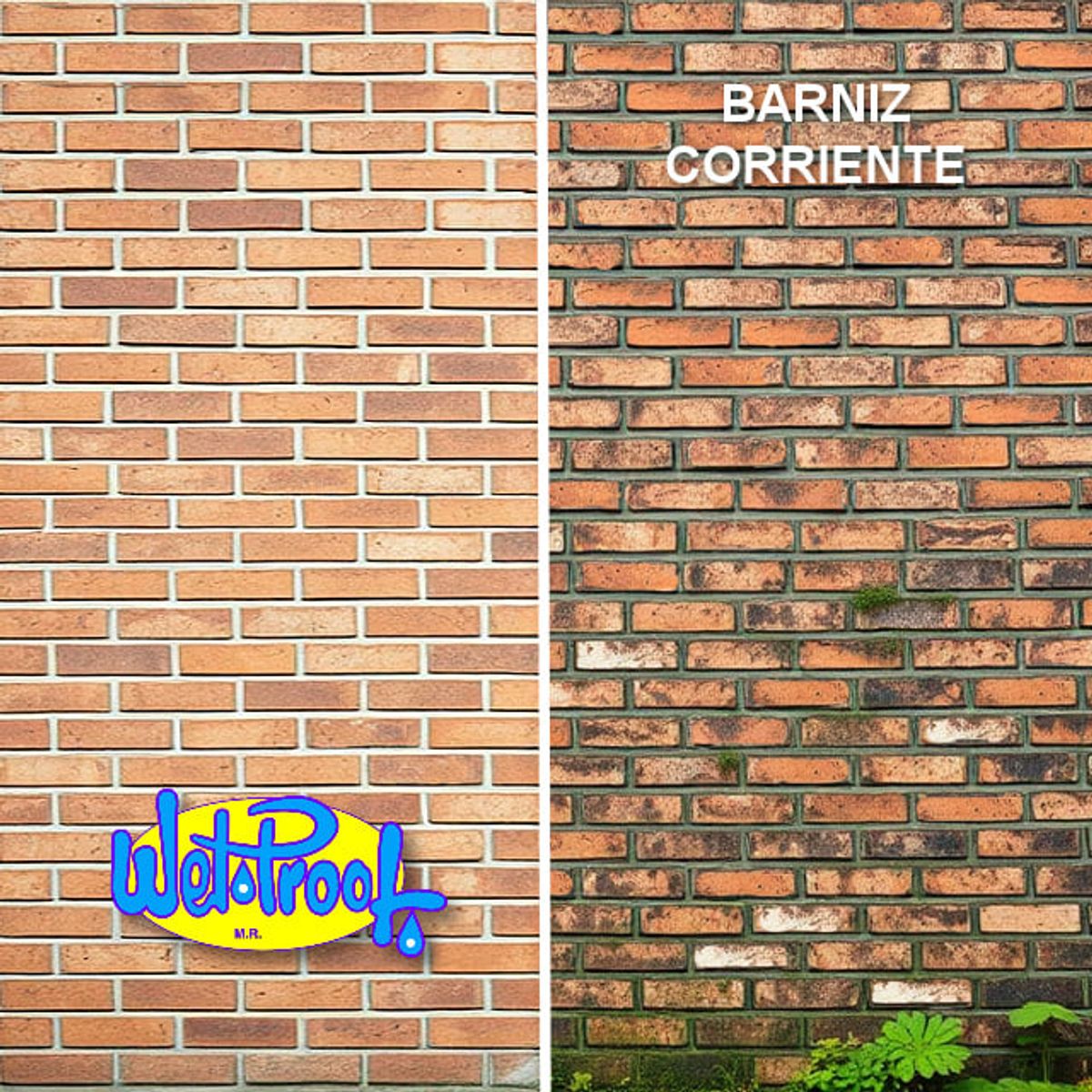 WETPROOF - BARNIZ IMPERMEABLE ESTUCO LADRILLO PIEDRA WET PROOF® CN INCOLORO 1-4 G