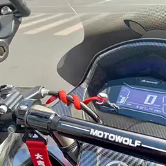 GENERICO - Figura de Venom para Motos
