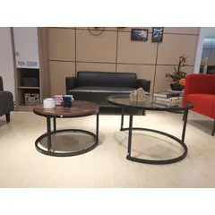 AGUILA - Juego Mesa de Centro Minimalista Coffee Table WEB-S2228