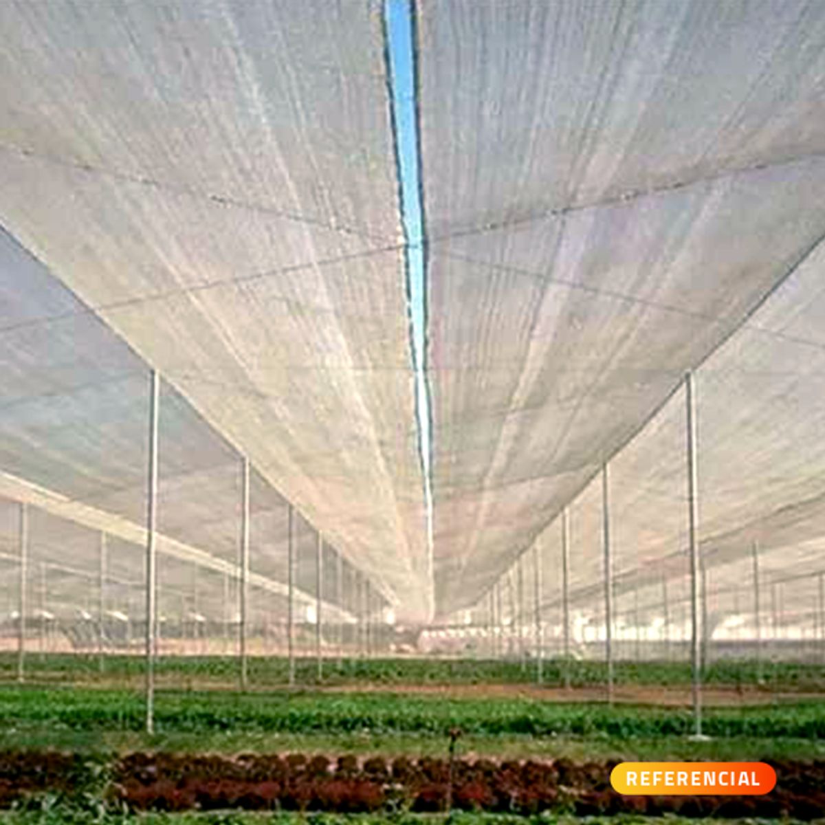 QRUBBER - Malla Raschel Blanca 2,1 x 100 Mts.Sombra 65% - Qrubber