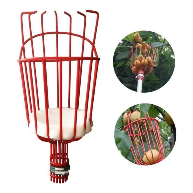 MUNDO MAGIA - Recolector De Frutas De Metal De 2.4 Mtr Largo