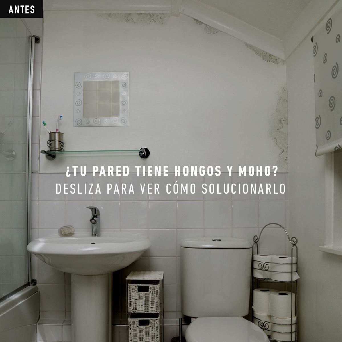 RUST OLEUM - Primer Pintura Antihongos Moho Blanco Mate 946ml