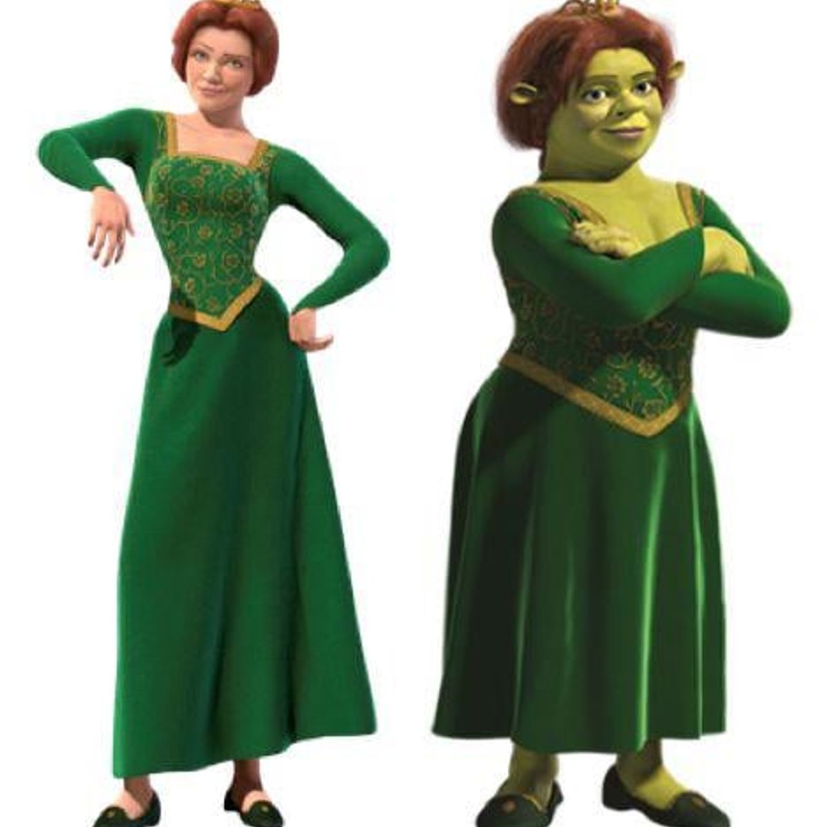 GENERICO - DISFRAZ PRINCESA FIONA T8