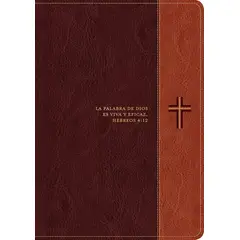 BROADMAN & HOLMAN PUBLISHERS - Biblia de Estudio Diario Vivir letra grande color café