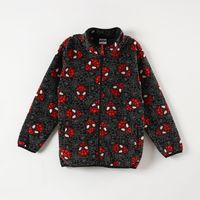 Polar Niño Spiderman Spider Webs Gris