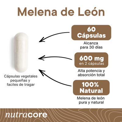 Imagen 2 del producto Melena de Leon 600mg 60 Capsulas Vegetales