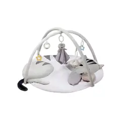 CARESTINO - Gimnasio Didáctico Gatito