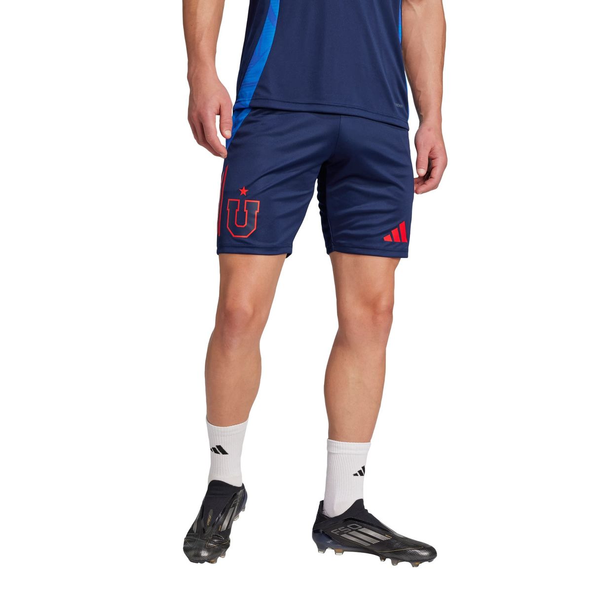 ADIDAS - Short Entrenamiento Universidad de Chile 2025