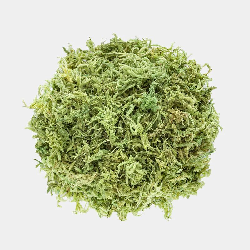 GENERICO - Musgo Natural Preservado Sphagnum para Decoración 50 gramos