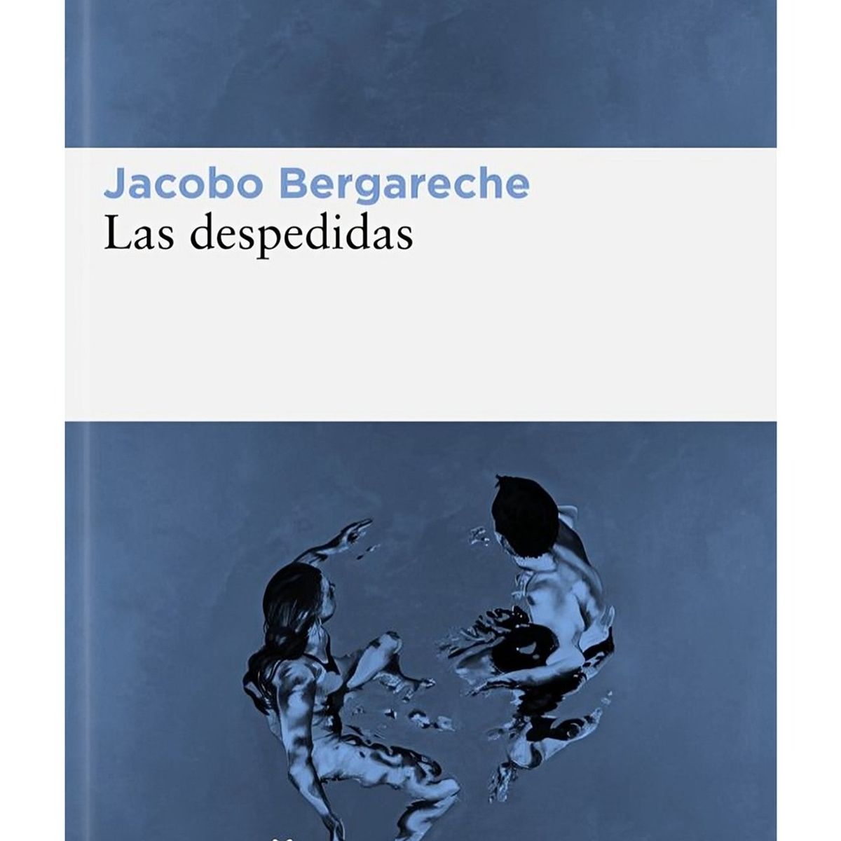 TOP10BOOKS - LIBRO Las Despedidas - Las Despedidas