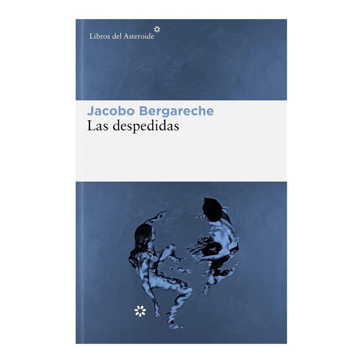 TOP10BOOKS - LIBRO Las Despedidas - Las Despedidas