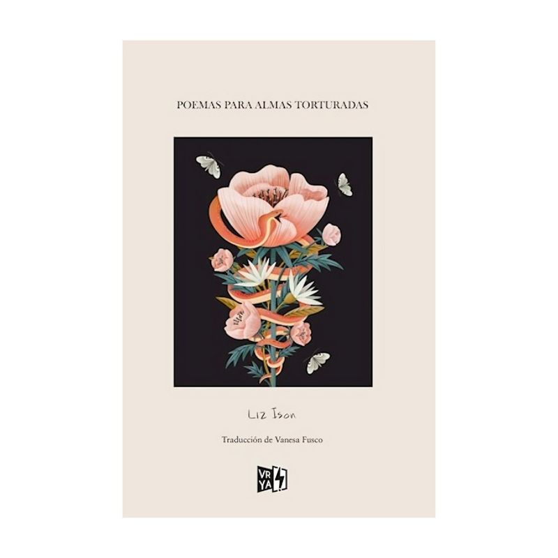 TOP10BOOKS - LIBRO POEMAS PARA ALMAS TORTURADAS / LIZ ISON / V & R - NOVELA