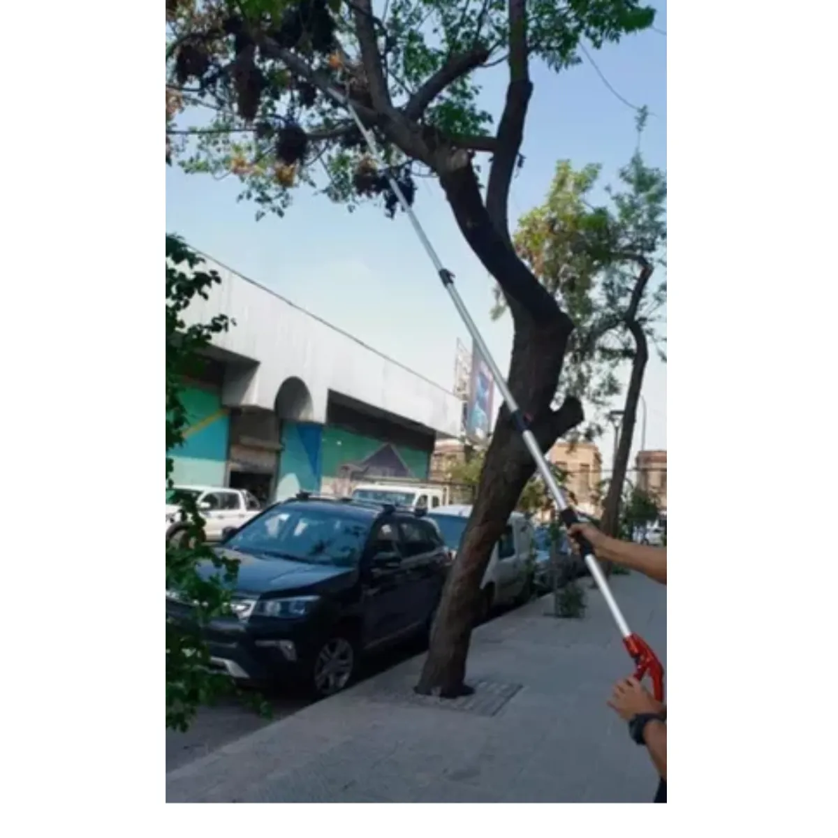 GENERICO - Tijeron Manual De Podar Altura+ Serrucho + Mango Extensible