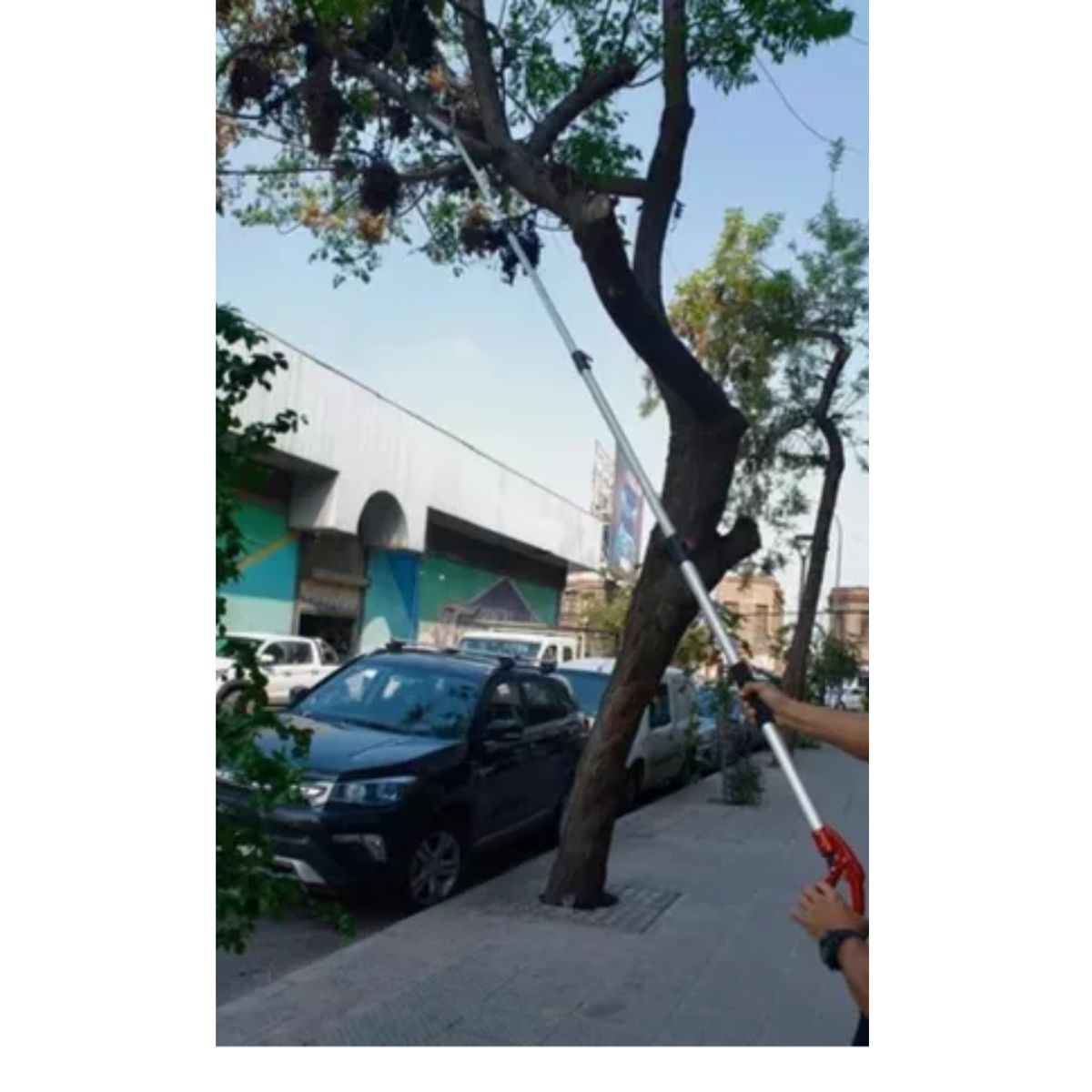 GENERICO - Tijeron Manual De Podar Altura+ Serrucho + Mango Extensible