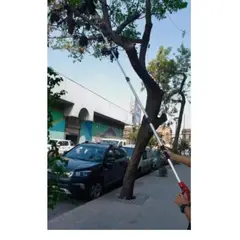 GENERICO - Tijeron Manual De Podar Altura+ Serrucho + Mango Extensible