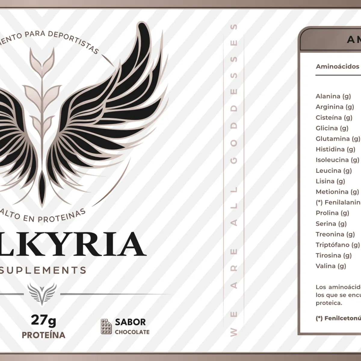 PALIKOS FITNESS - Proteína Vegana 27 gramos de Proteína (100% Soya) / Sabor Chocolate