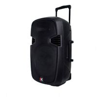 Parlante Recargable PORTA 15 con Micrófonos