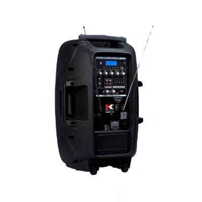 Imagen 2 del producto Parlante Recargable PORTA 15 con Micrófonos