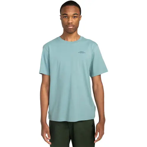 ELEMENT - Polera Manga Corta Hombre Skateboard Co Celeste