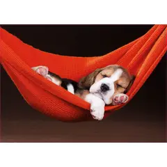 EDUCA - 18477 PUZZLE 500 PIEZAS DURMIENDO EN LA HAMACA