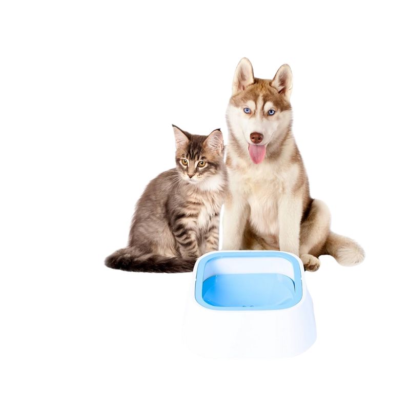 GENERICO - Bebedero Para Perros Y Gatos Sin Derrames