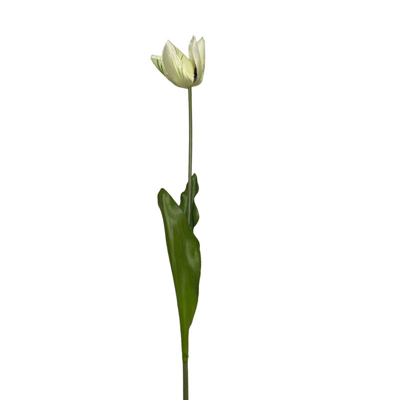 COREL - Tulipan Blanco 50 cm Realista