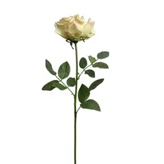 COREL - Rosa Blush 85 cm Realista