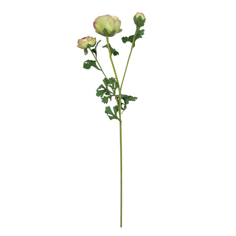 COREL - Ranúnculo Verde Rosa 73 cm Con Textura Realista