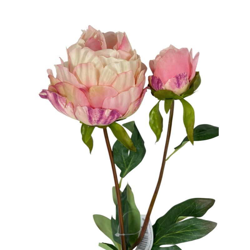 COREL - Peonia Cerrada Rosada 57 cm