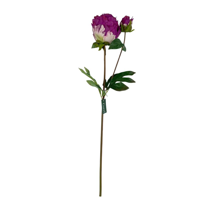 COREL - Peonia Cerrada Fucsia 57 cm