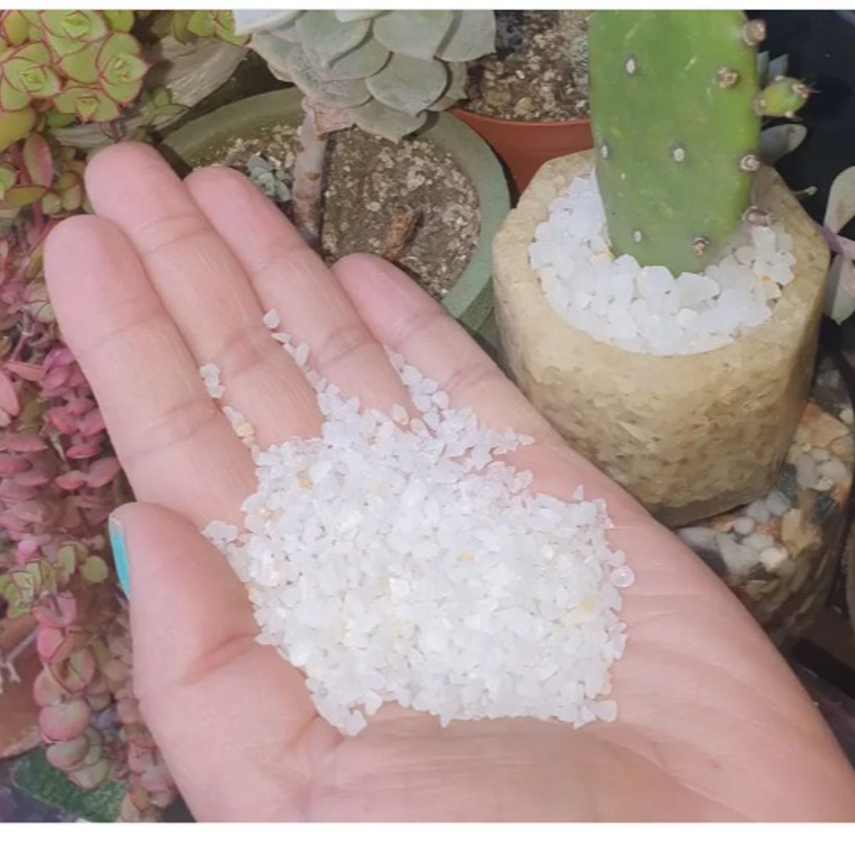 GENERICO - Cuarzo Blanco Tamaño Granulado, Jardín Deco Formato 10 kg
