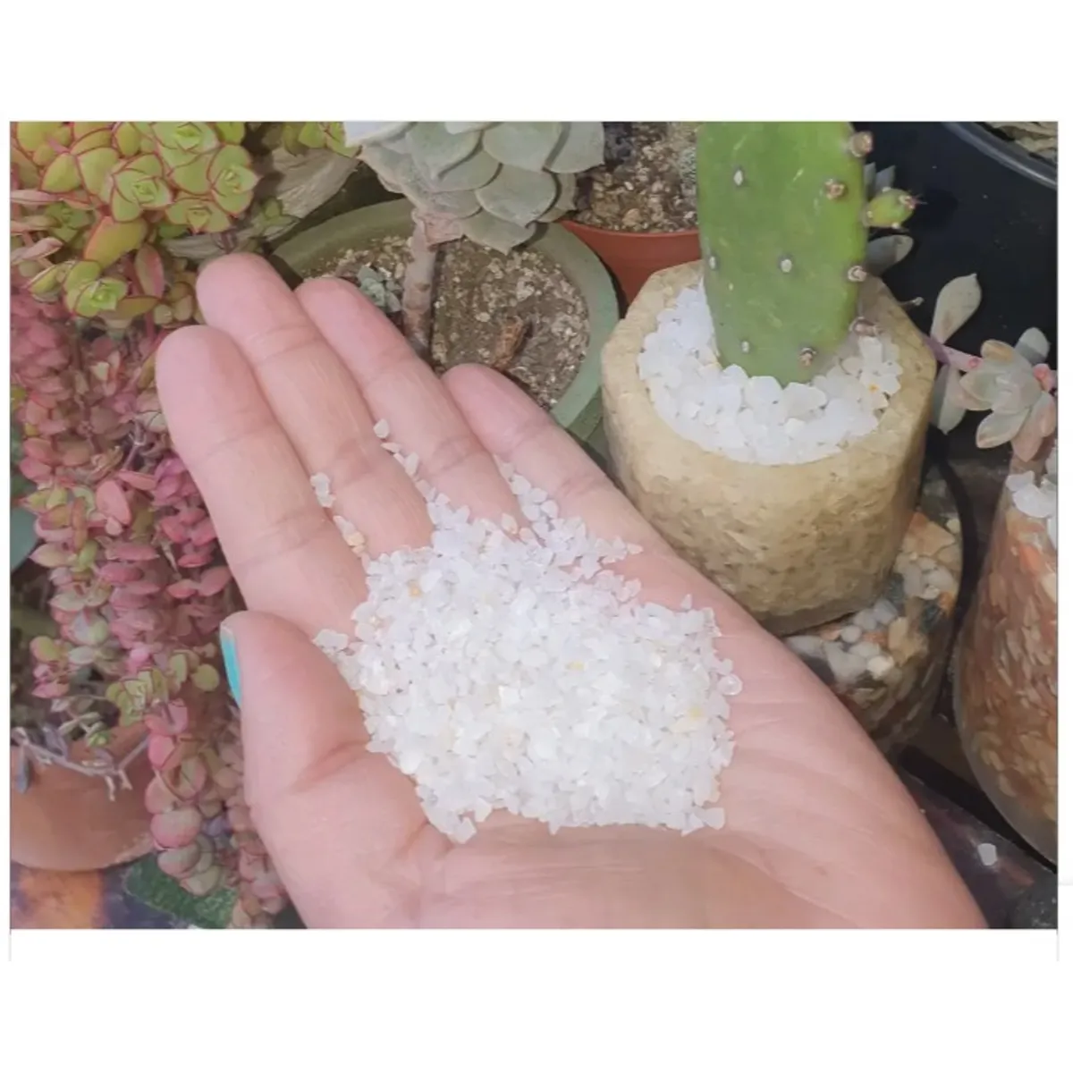 GENERICO - Cuarzo Blanco Tamaño Granulado, Jardín Deco Formato 10 kg