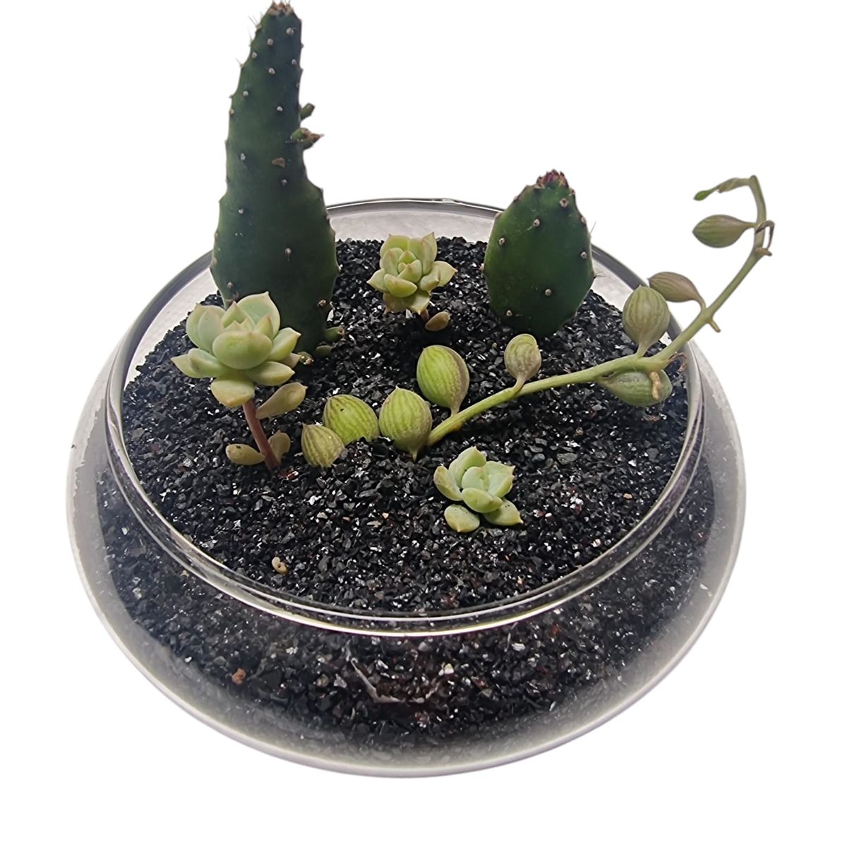 GENERICO - Piedra Negra Brillante, Tamaño Granulado. Formato 1 kg