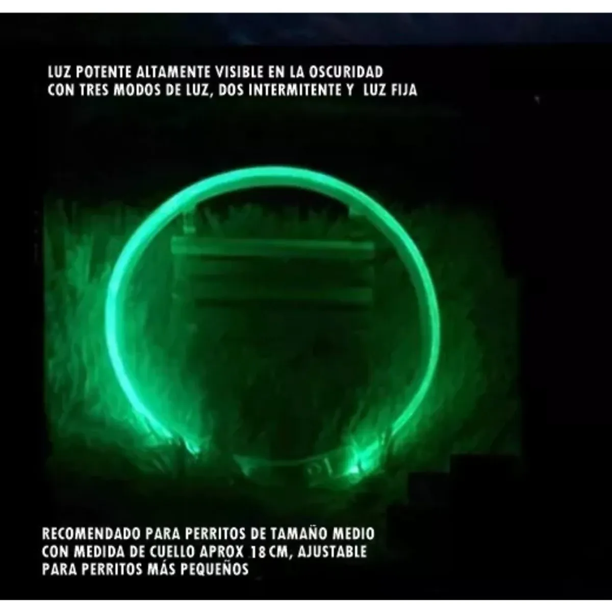 GENERICO - Collar De Perro Luminoso Luz Led 40cm - Carga Usb S M L