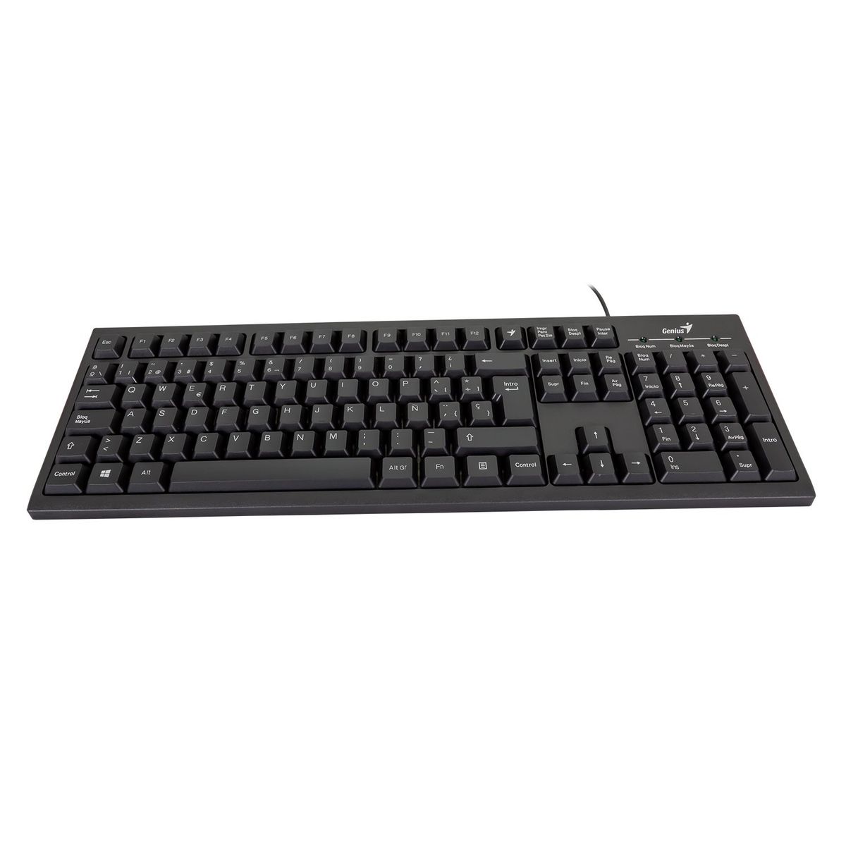 GENIUS - TECLADO DE UNA MANO GENIUS SMART KB-100 QWERTY ESPAÑOL