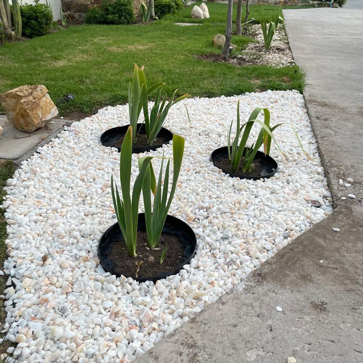 GENERICO - Fijador para piedras (rinde 10 a 12m2)