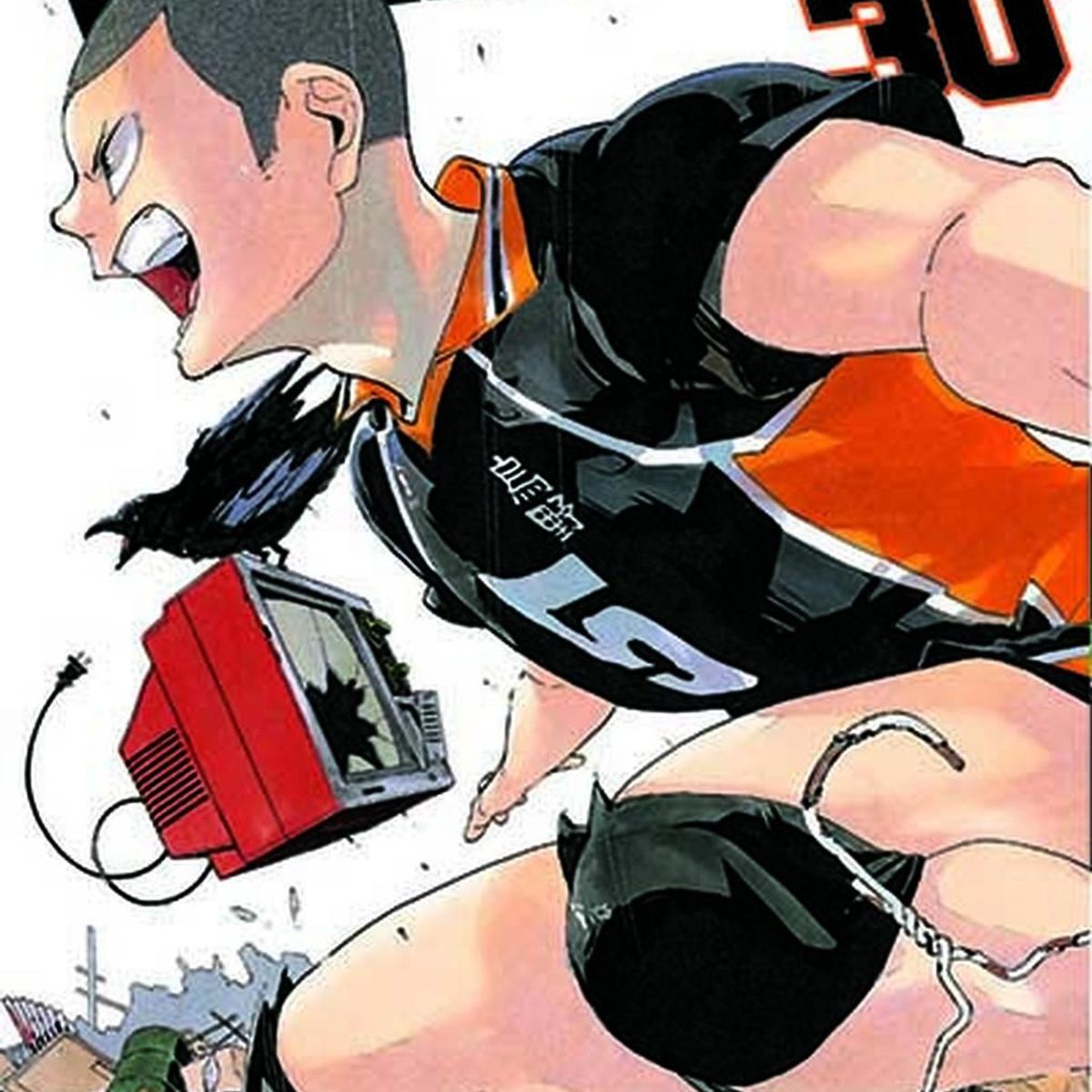 IVREA - Manga Haikyu!! 30 Ivrea