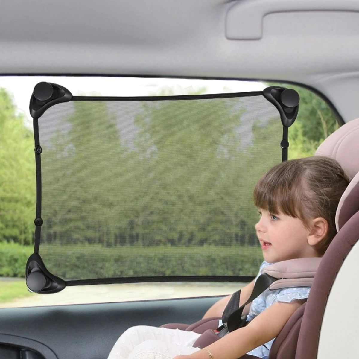 SAFETY 1ST - Protector de Sol Elástico para Auto Safety 1st Universal