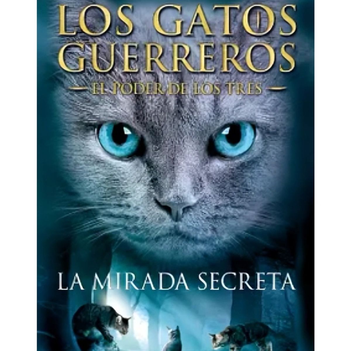 TOP10BOOKS - LIBRO La Mirada Secreta - La Mirada Secreta