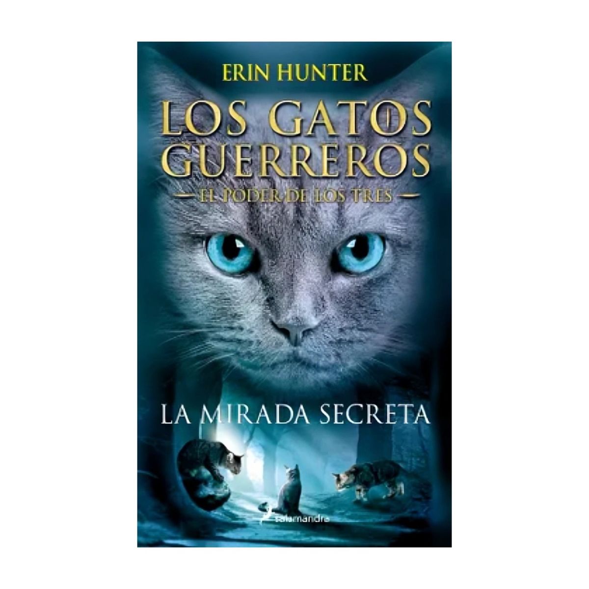 TOP10BOOKS - LIBRO La Mirada Secreta - La Mirada Secreta