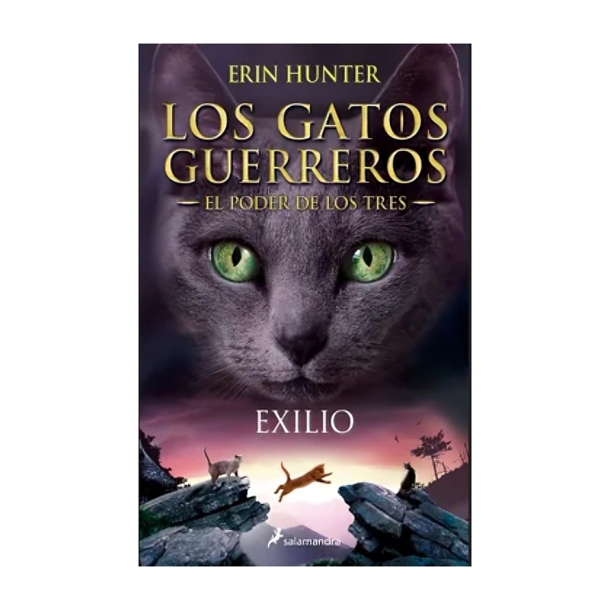 TOP10BOOKS - LIBRO Exilio (los Gatos Guerreros - El Poder De Los Tres 3)