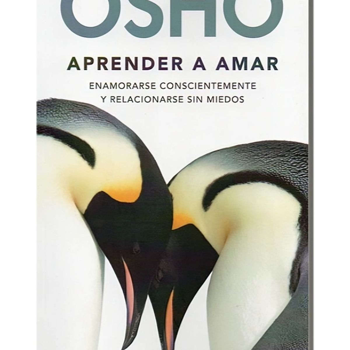 TOP10BOOKS - LIBRO Aprender A Amar - Aprender A Amar