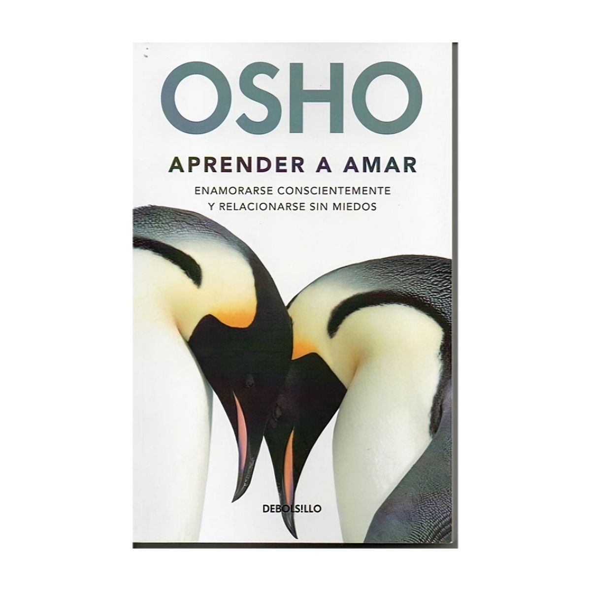 TOP10BOOKS - LIBRO Aprender A Amar - Aprender A Amar